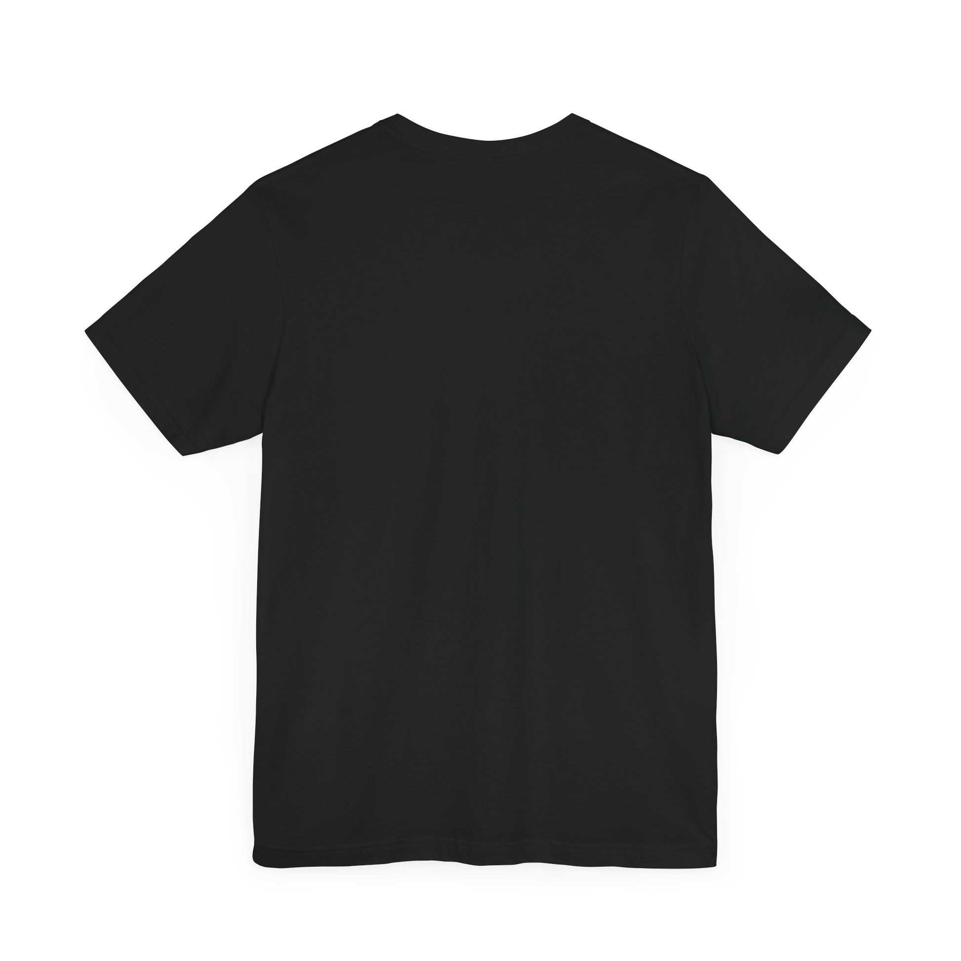 Alien Conspiracy Theory Ancient Human Fan Graphic Tee Crazy Hair Pyramids Egyptians UFO Shirt Extraterrestrial